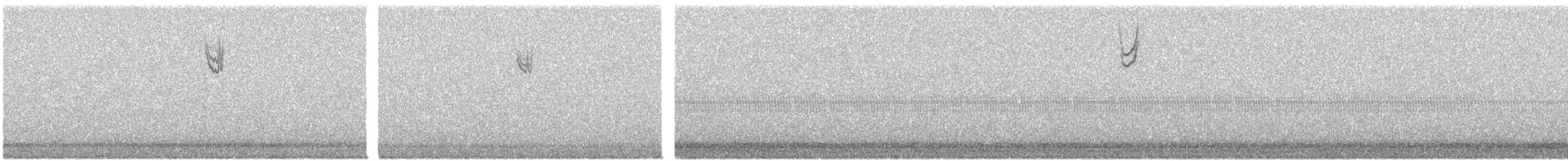 new world sparrow sp. - ML642555592