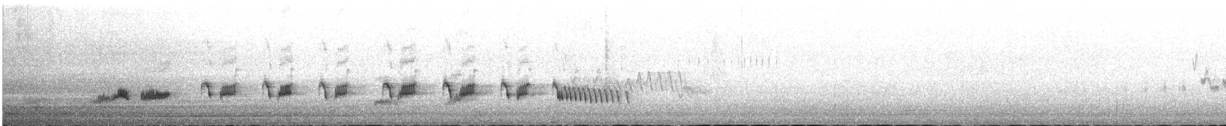 Rascón Gallineta - ML642555926