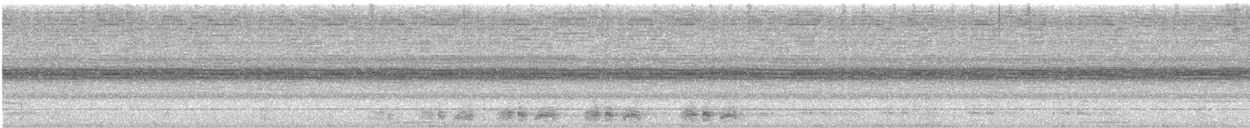 Speckled Chachalaca - ML642556771