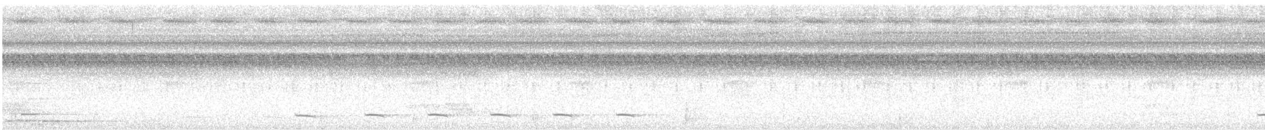 White-shouldered Antshrike - ML642556790