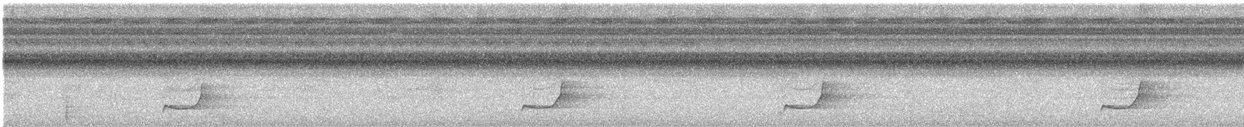 Blue-backed Manakin - ML642556801