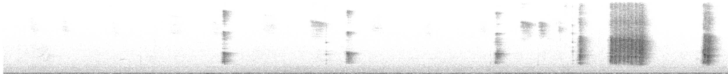 Nuttall's Woodpecker - ML642556948