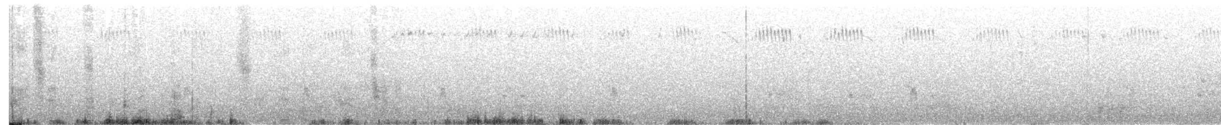 Masked/White-browed Woodswallow - ML642557183