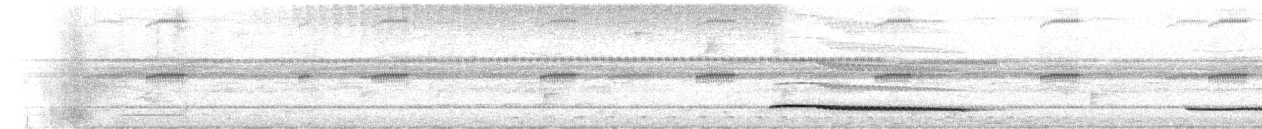 småtinamu - ML642557739