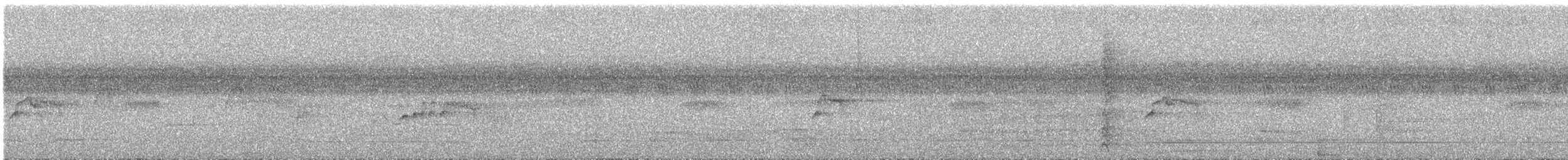 Piratic Flycatcher - ML642559661