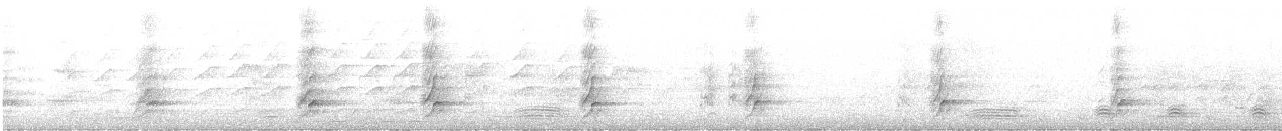 Méliphage à oreillons bleus - ML642559813