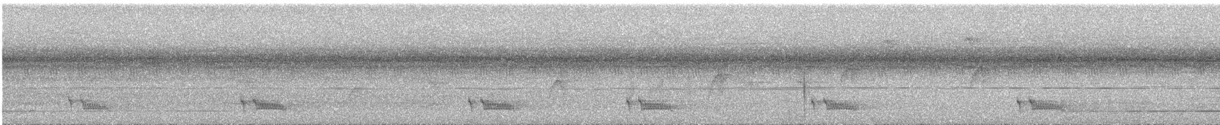 Blue-backed Manakin - ML642560429