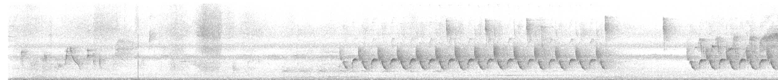 Troglodyte de Caroline - ML642563363