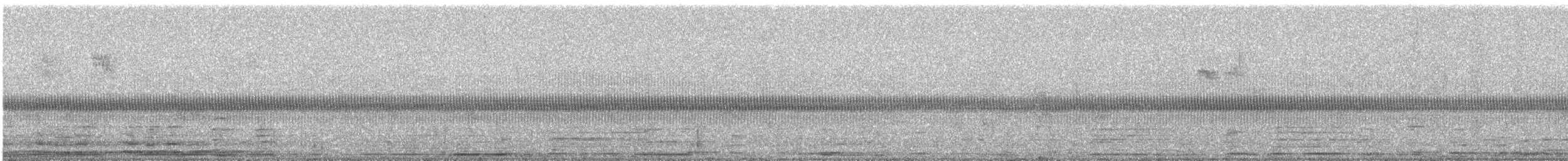 Savi's Warbler - ML642564092