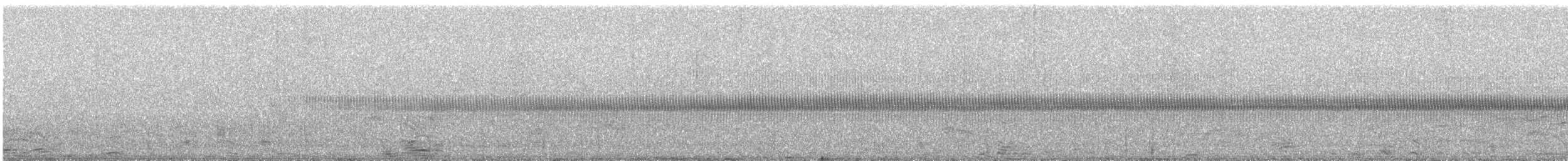 Savi's Warbler - ML642564093