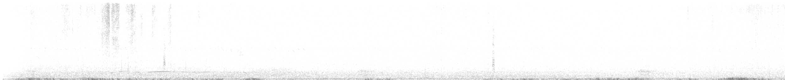 Great-tailed Grackle - ML642564799