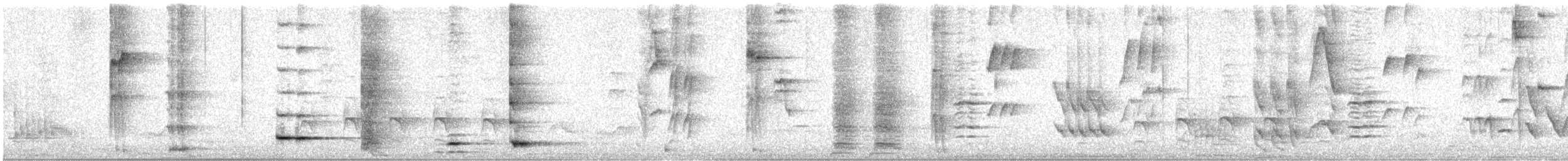 Tui - ML642564872