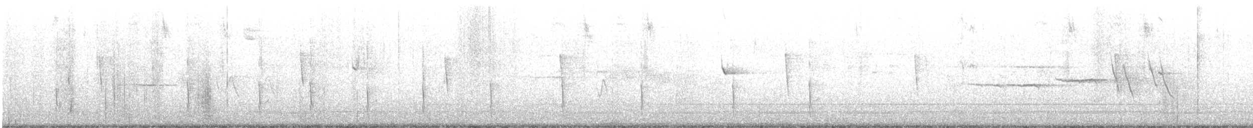 Arizonawaldsänger - ML642564977