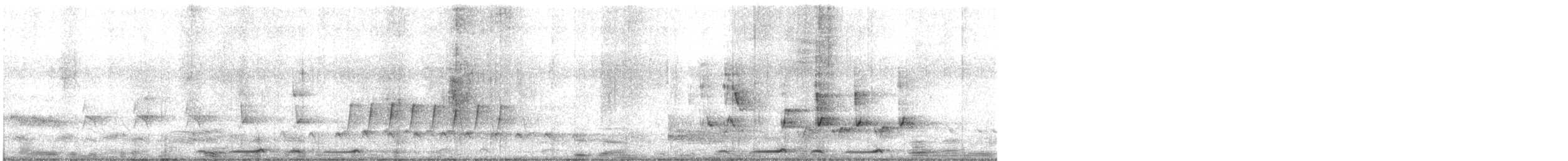 Bar-shouldered Dove - ML642565329