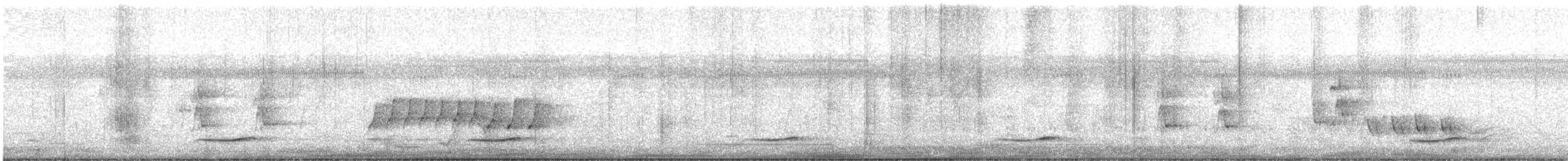 Pacific Koel (Australian) - ML642566019