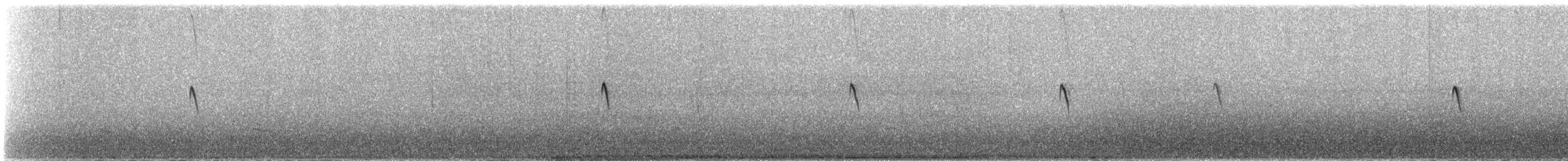 Black Phoebe - ML642566097