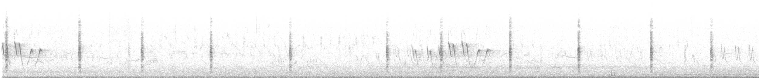 Brewer's Blackbird - ML642566255