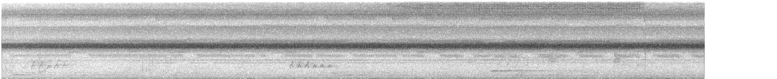 Upland Sandpiper - ML642566427