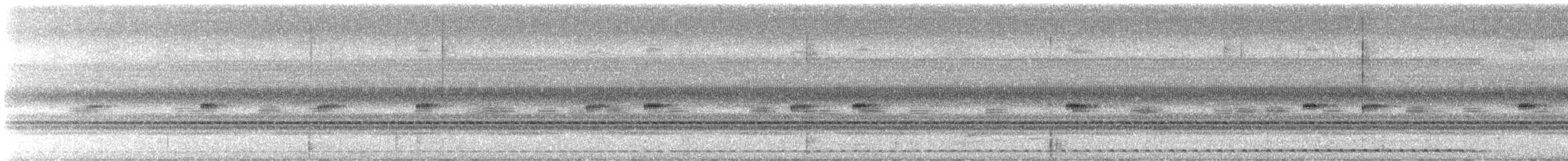 výreček středoamerický - ML642566431