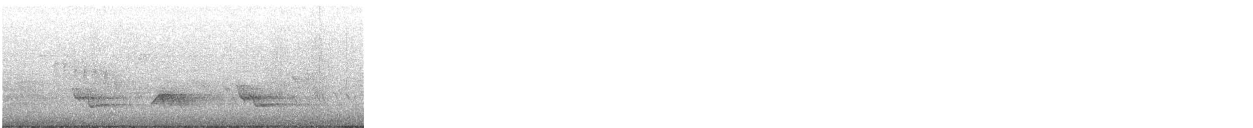 Wanderdrossel - ML642567301