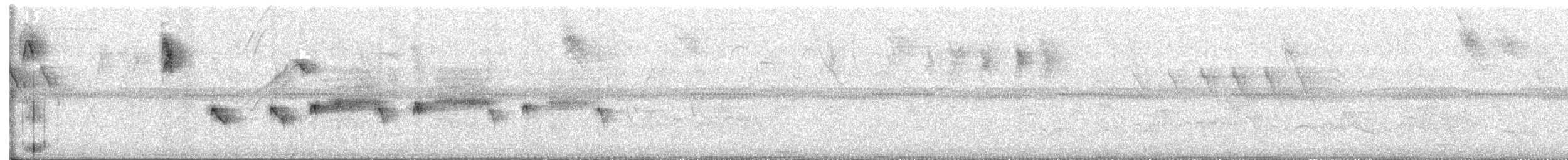 Santa Marta Karıncakuşu - ML642567354