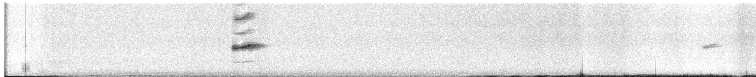 Santa Marta Antpitta - ML642567402