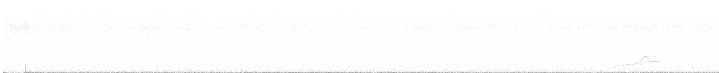 pauraquenattravn - ML642567801