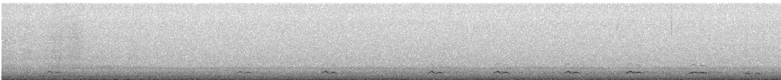 Western Screech-Owl - ML642569842