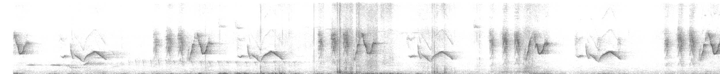 White-eared Monarch - ML642576119