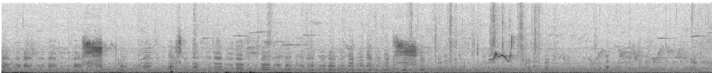 Leaden Flycatcher - ML642576465