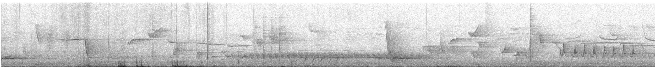 オーストラリアメンガタカササギビタキ（gouldii／melanorrhous） - ML642576503