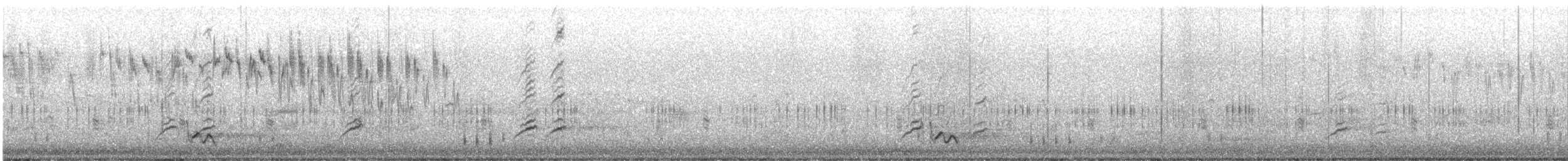 Little Friarbird - ML642576572
