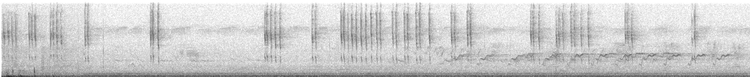 Forest Kingfisher - ML642576856