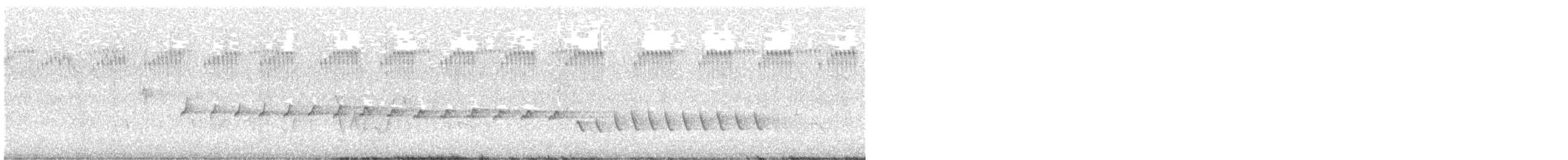 White-winged Triller - ML642577054