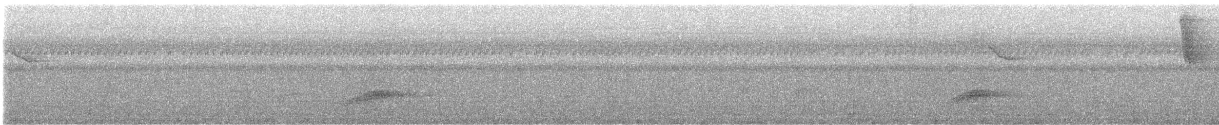 Schwarznackenpirol [frontalis-Gruppe] - ML642578378