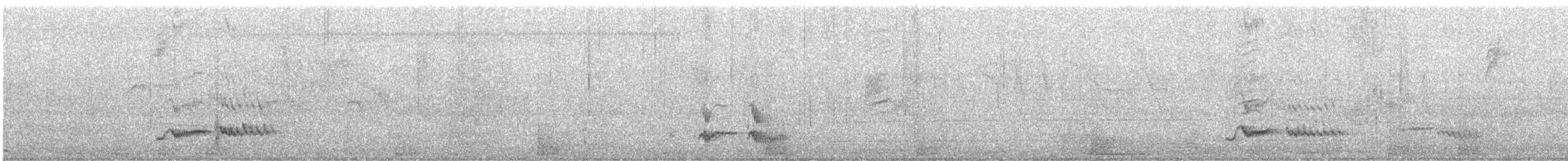 Tropical Mockingbird - ML642579885