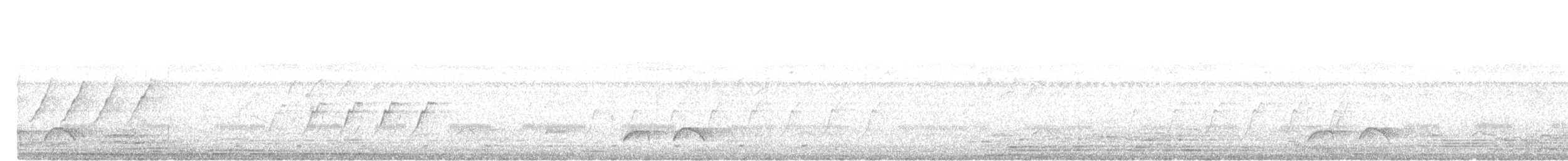 Ornate Pitta - ML642580011