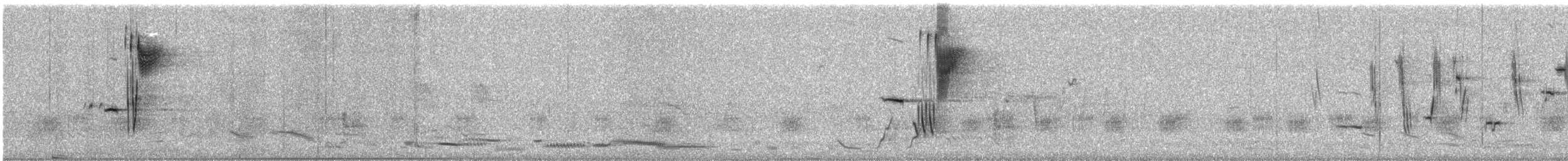 コシアカヒバリモドキ - ML642580060