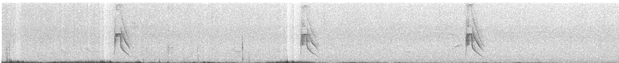 Social Flycatcher - ML642580116