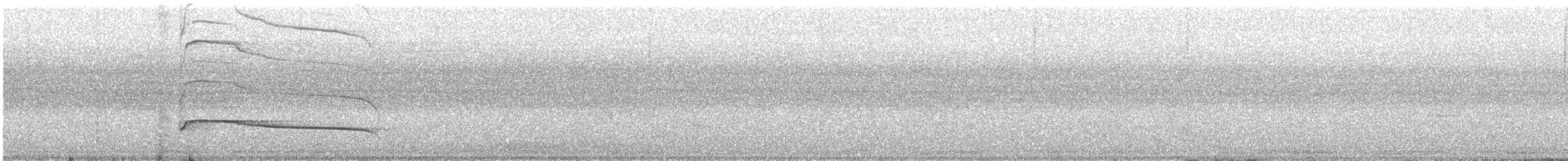Gray-lined Hawk - ML642580968