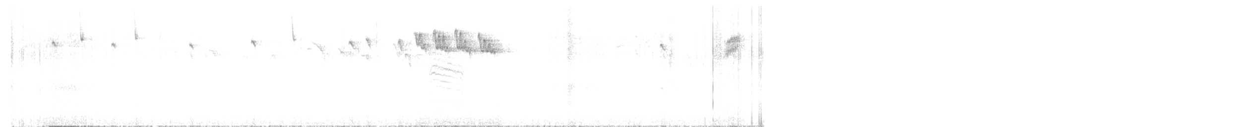 králíček obecný - ML642581512