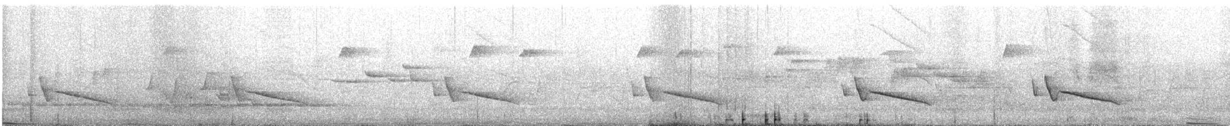 White-eared Monarch - ML642582842