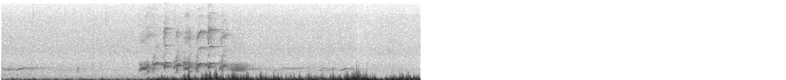 Gray Butcherbird - ML642584261