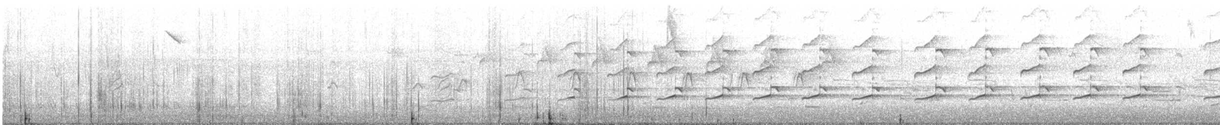 Autour blanc - ML642584450