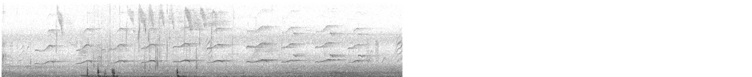 Autour blanc - ML642584492