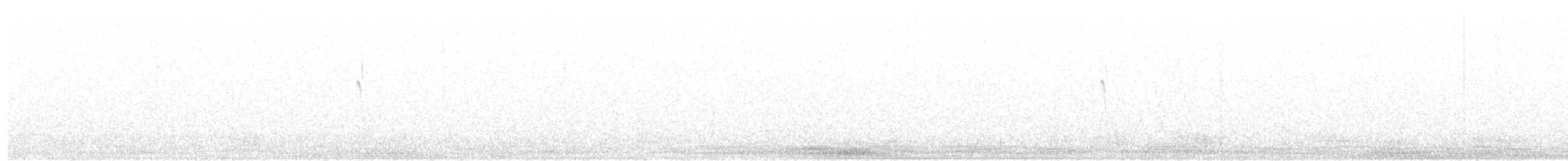 セッカ - ML642584796