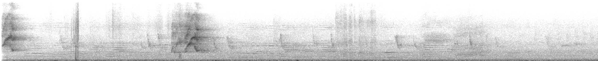 Long-tailed Glossy Starling - ML642585261