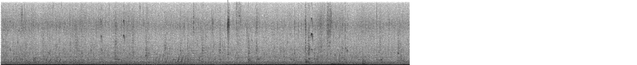 Нарийн сэлээхэй - ML642585568