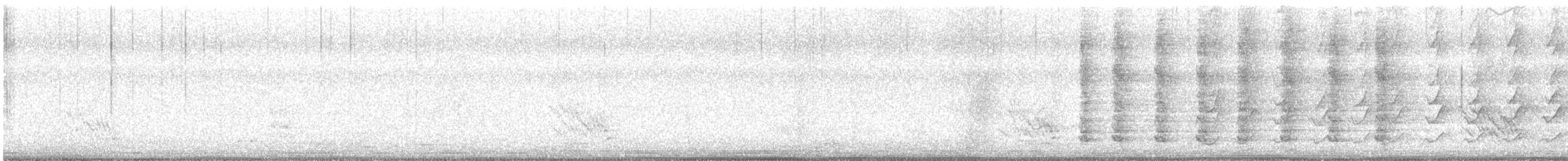 Black-faced Cuckooshrike - ML642586074
