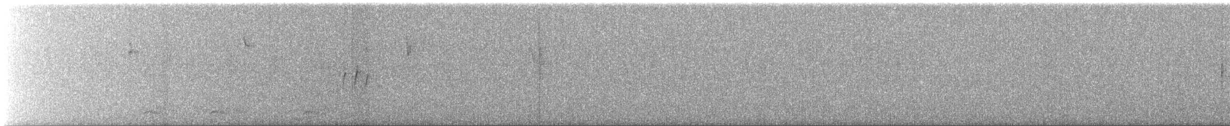 Pine Warbler - ML642586089